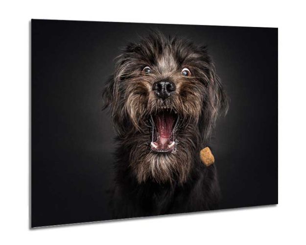 Aluminium Wall Art - For Me