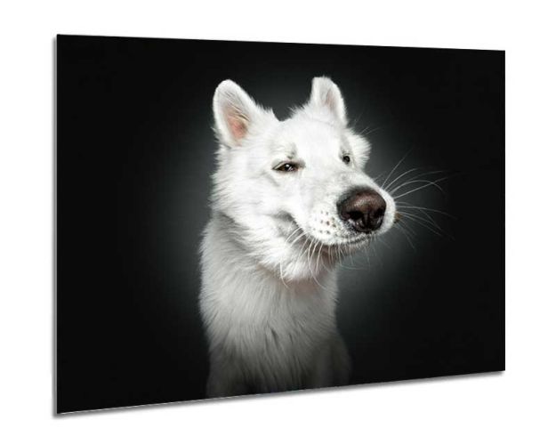 Aluminium Wall Art - Come On