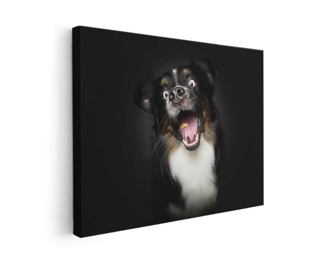 Canvas Print - Floki 41