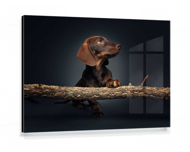 Gallery Board - Outdoor Feeling