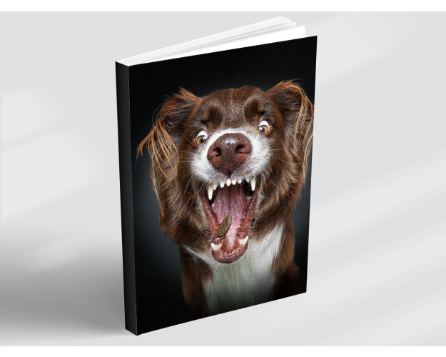 Notebook - Filou