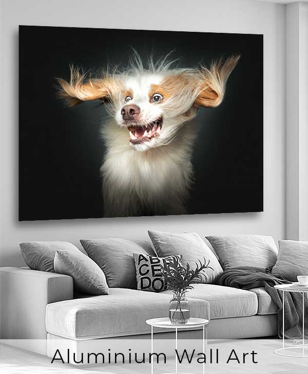 Aluminium Wall Art