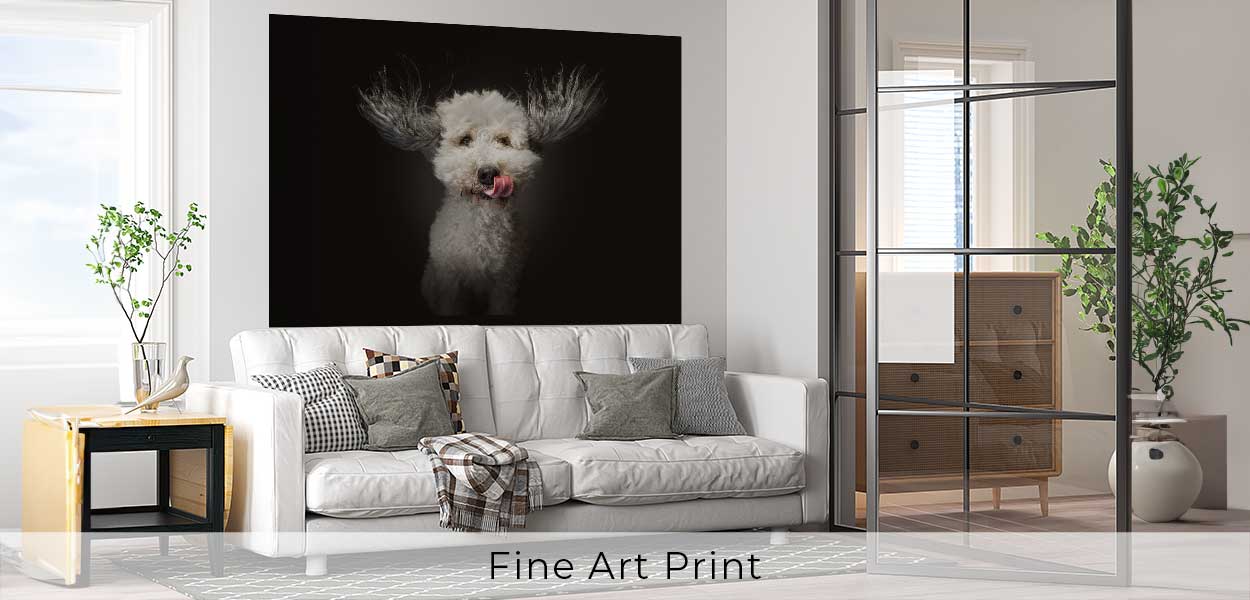 Fine Art Print