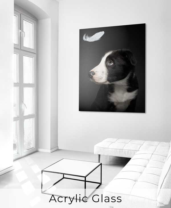 Acrylic Glass Wall Art
