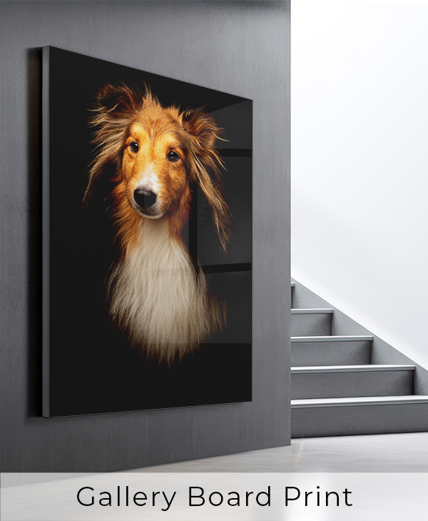 Gallery Board