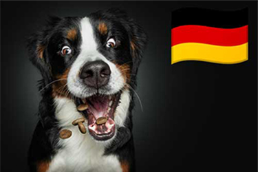 On Tour Deutschland